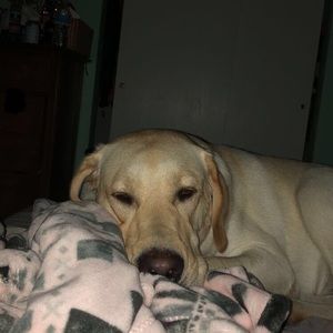 Meet your Posher, Grace